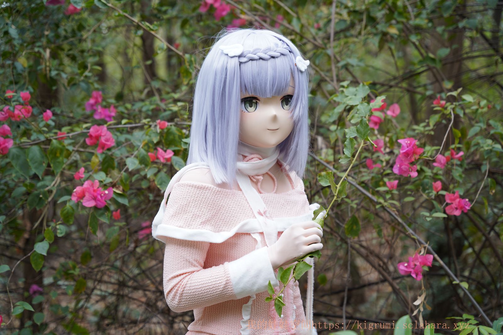 密码保护：摄影返图