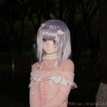 DSC01431